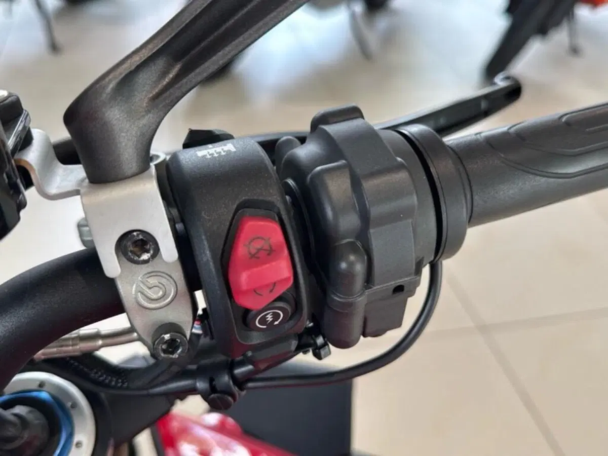 Ducati Streetfighter V4 1100 S (2021 - 22) (11)