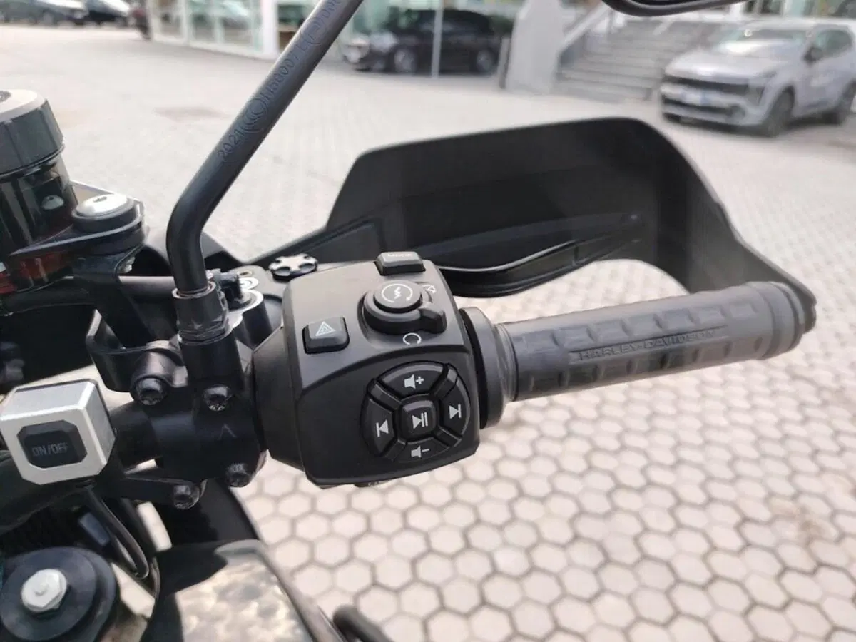 Harley-Davidson Pan America 1250 (2020 - 25) (11)