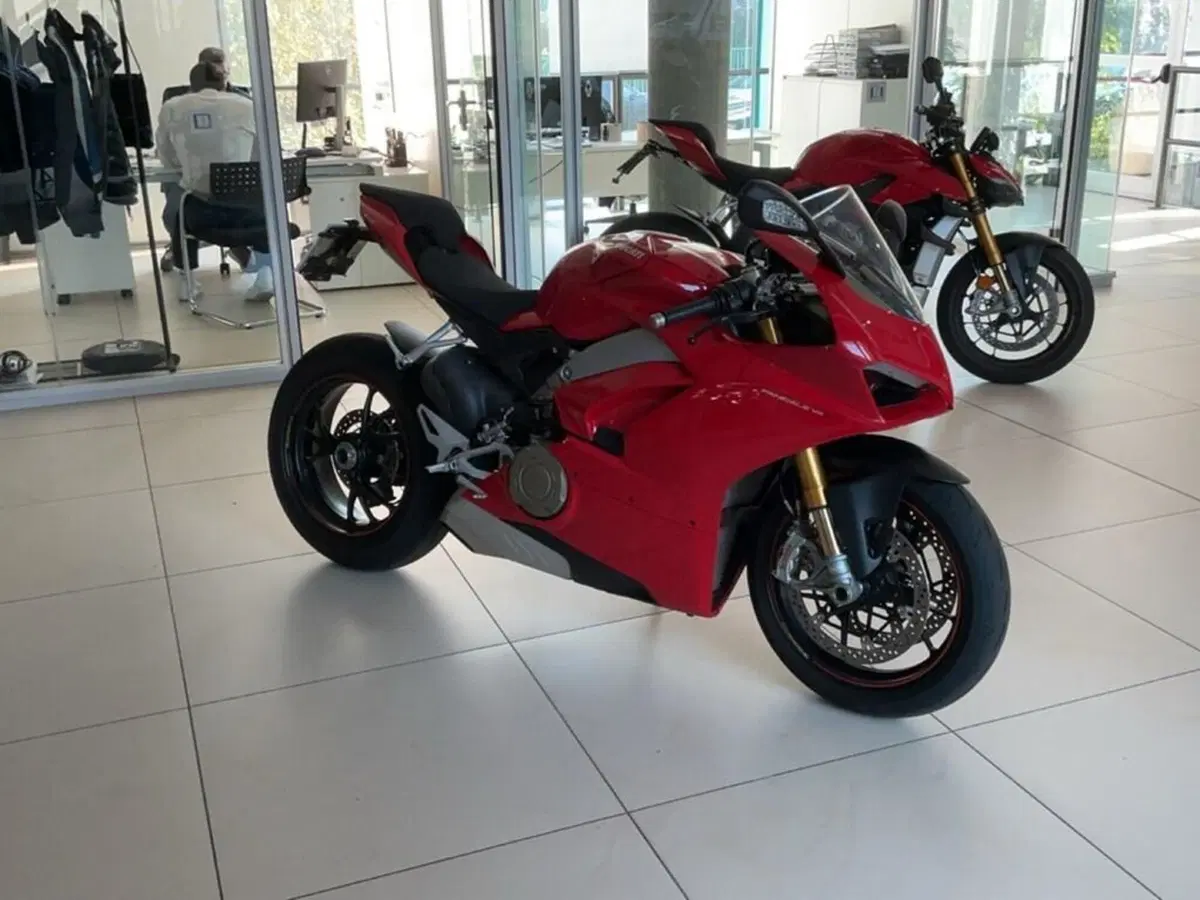Ducati Panigale V4 S 1100 (2018 - 19) (3)