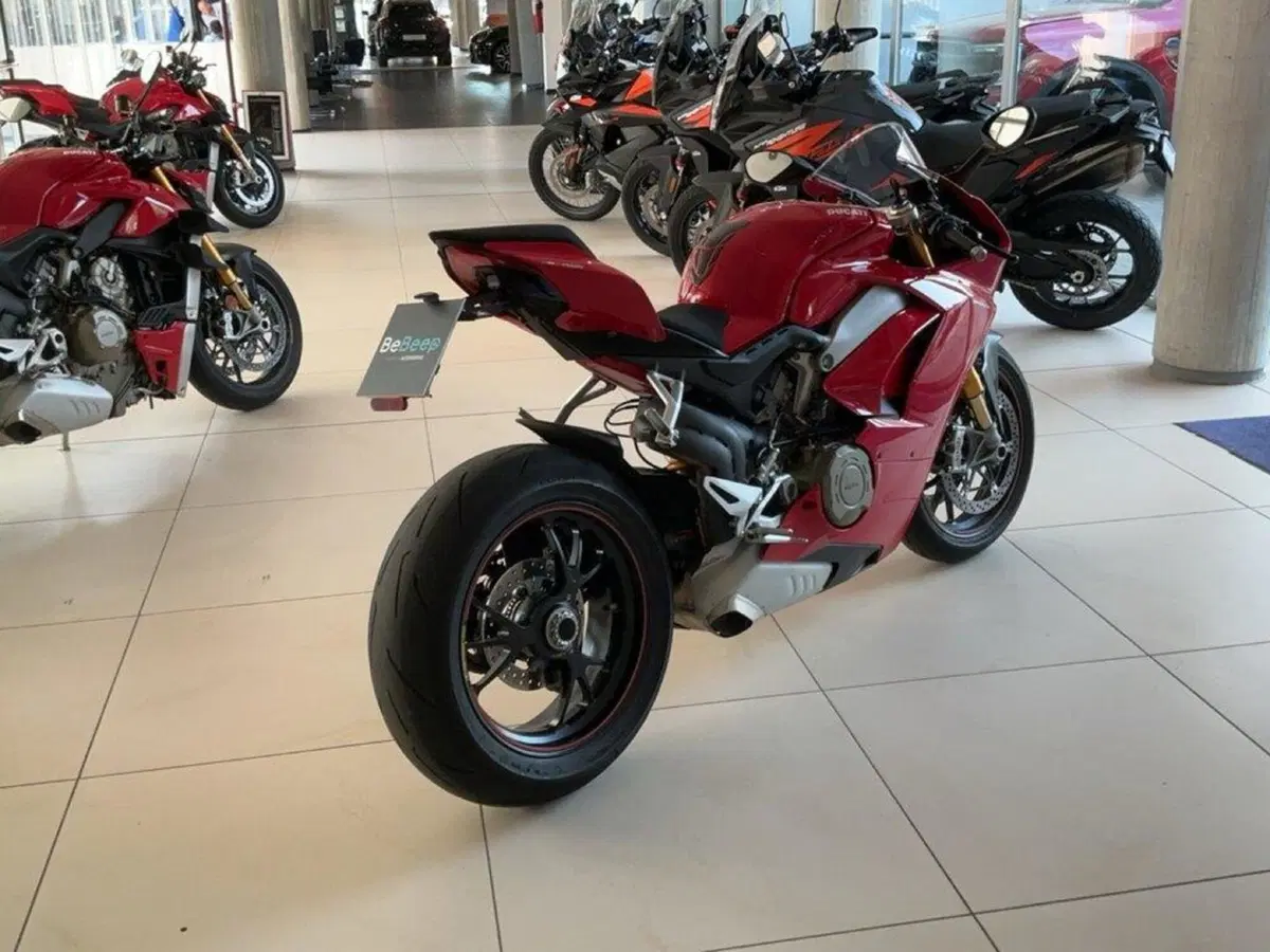 Ducati Panigale V4 S 1100 (2018 - 19) (5)