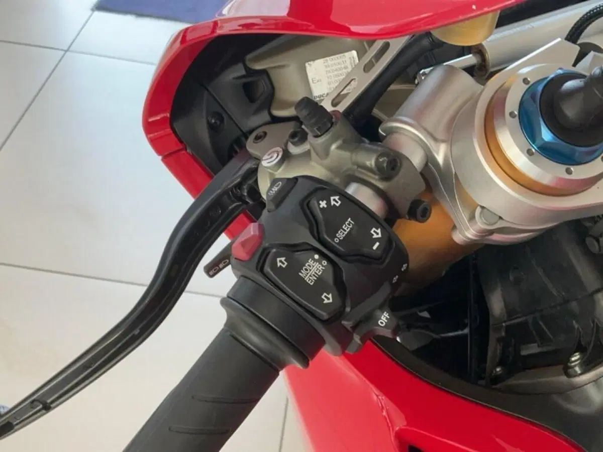 Ducati Panigale V4 S 1100 (2018 - 19) (10)