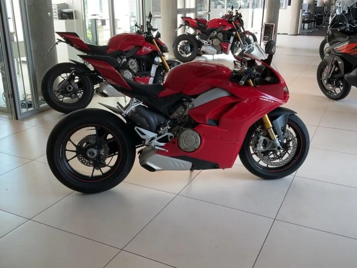 Ducati Panigale V4 S 1100 (2018 - 19) (8)