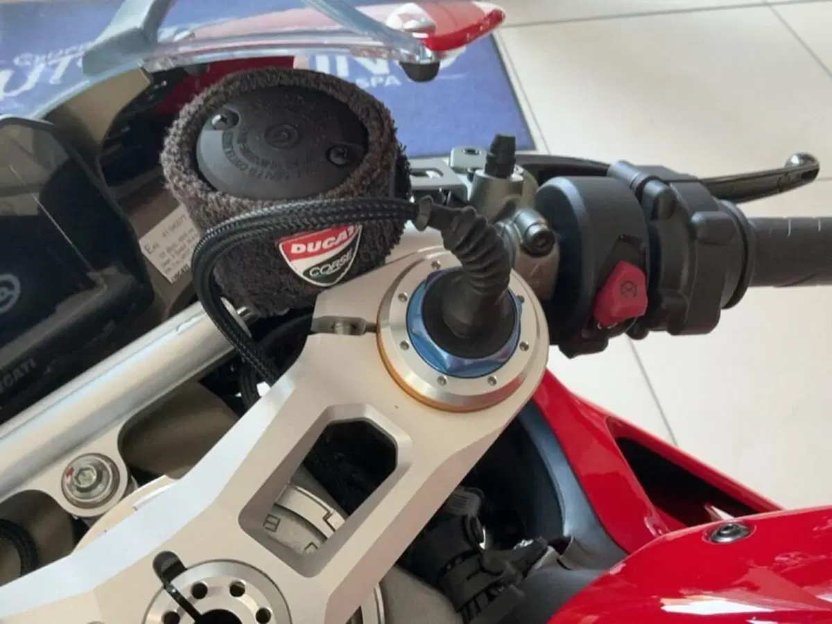 Ducati Panigale V4 S 1100 (2018 - 19) (11)
