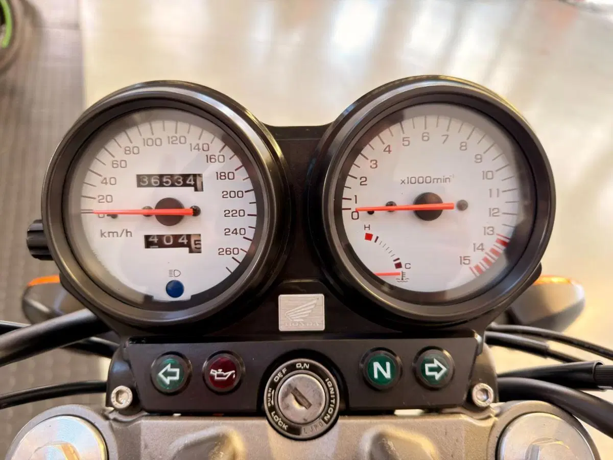 Honda Hornet 600 (2000 - 02) (5)