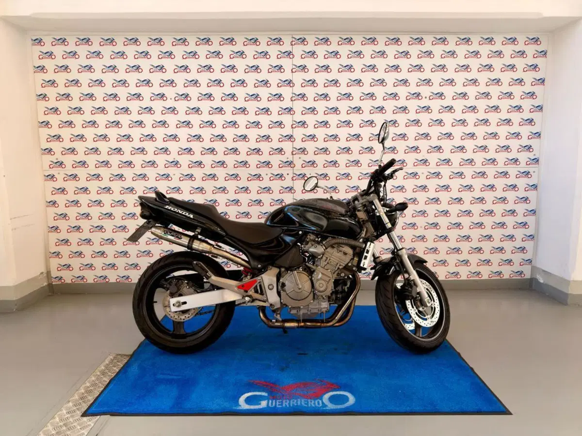 Honda Hornet 600 (2000 - 02) (3)