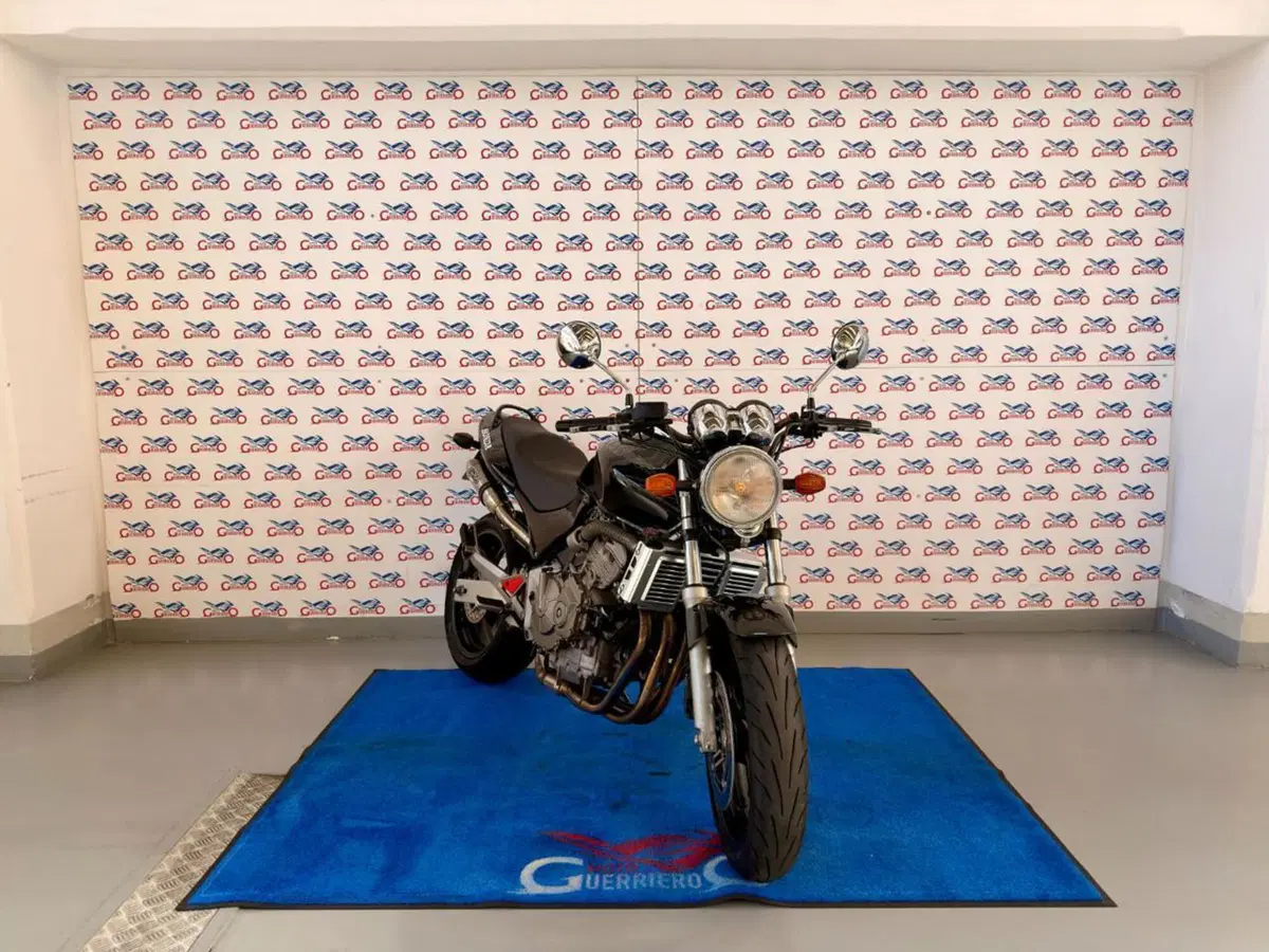 Honda Hornet 600 (2000 - 02) (2)