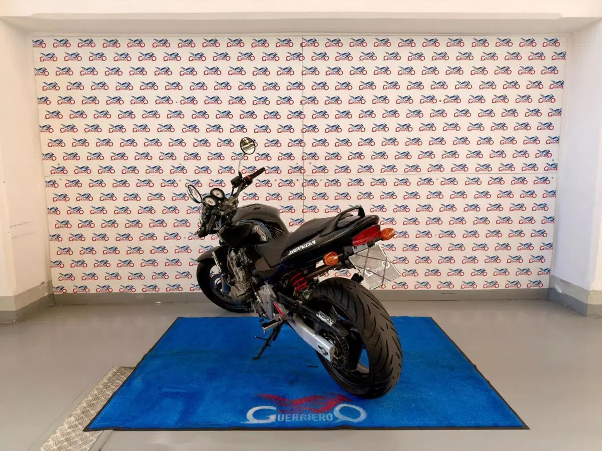 Honda Hornet 600 (2000 - 02) (4)