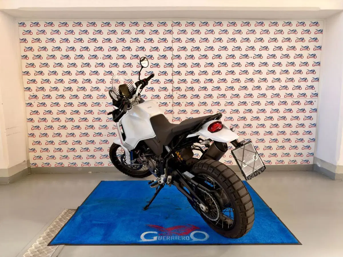 Ducati DesertX (2022 - 25) (4)