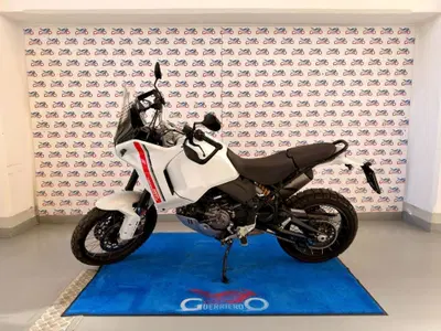 Ducati DesertX (2022 - 25) usata