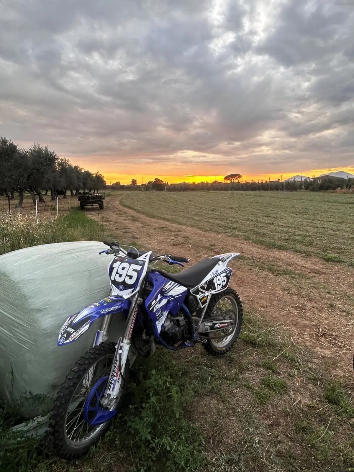 Yamaha YZ 125 (2004)