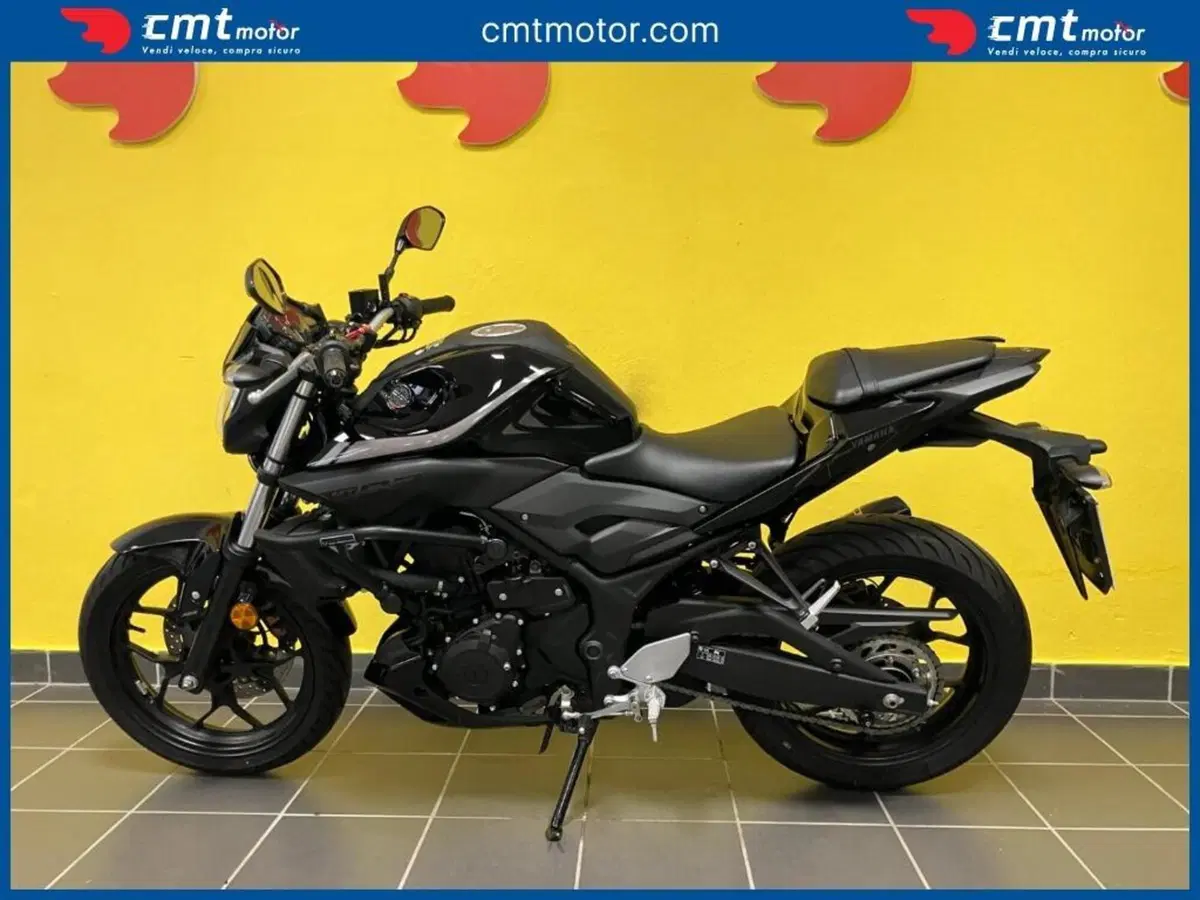 Yamaha MT-03 (2018 - 19) (3)