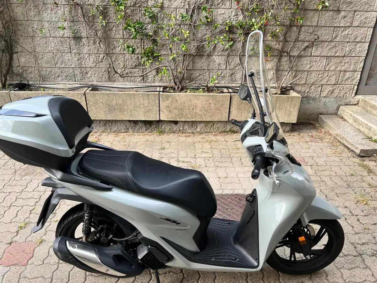 Honda SH 150i (2024 - 25) (2)
