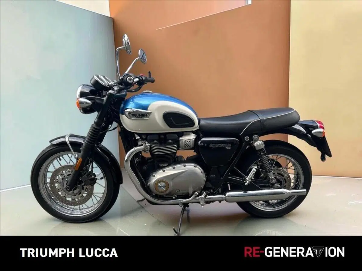Triumph Bonneville T100 (2017 - 20) (5)