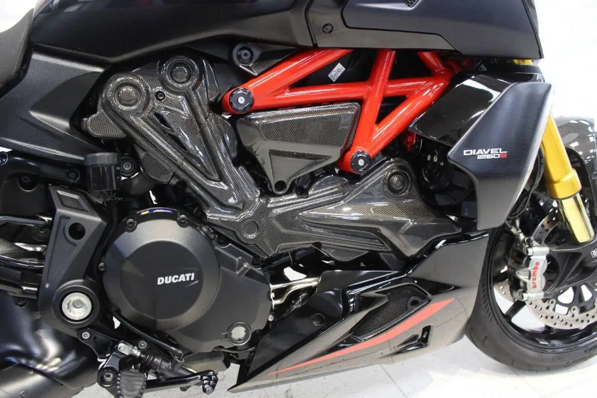 Ducati Diavel 1260 S (2019 - 20) (6)