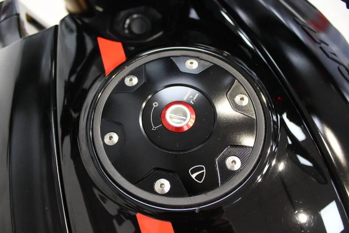Ducati Diavel 1260 S (2019 - 20) (11)