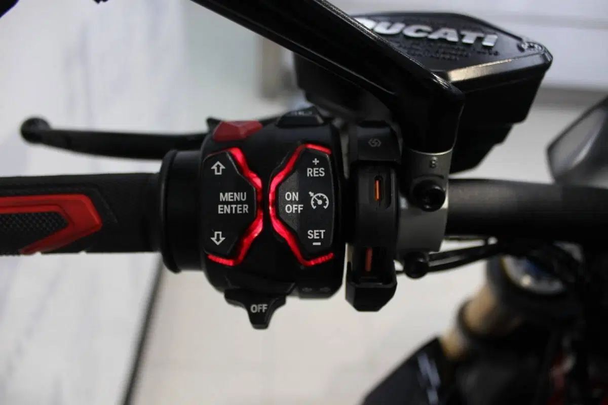 Ducati Diavel 1260 S (2019 - 20) (12)