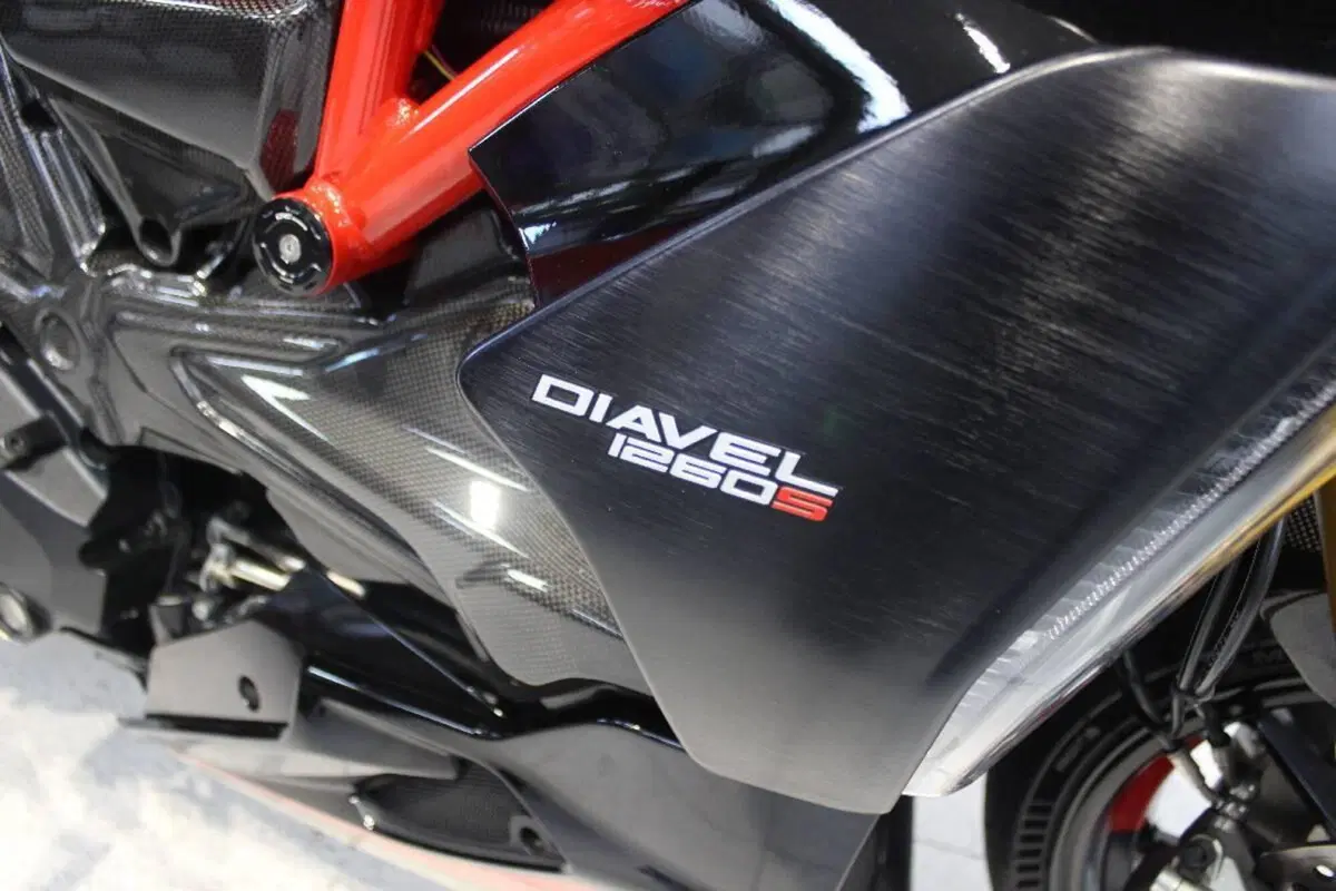 Ducati Diavel 1260 S (2019 - 20) (14)