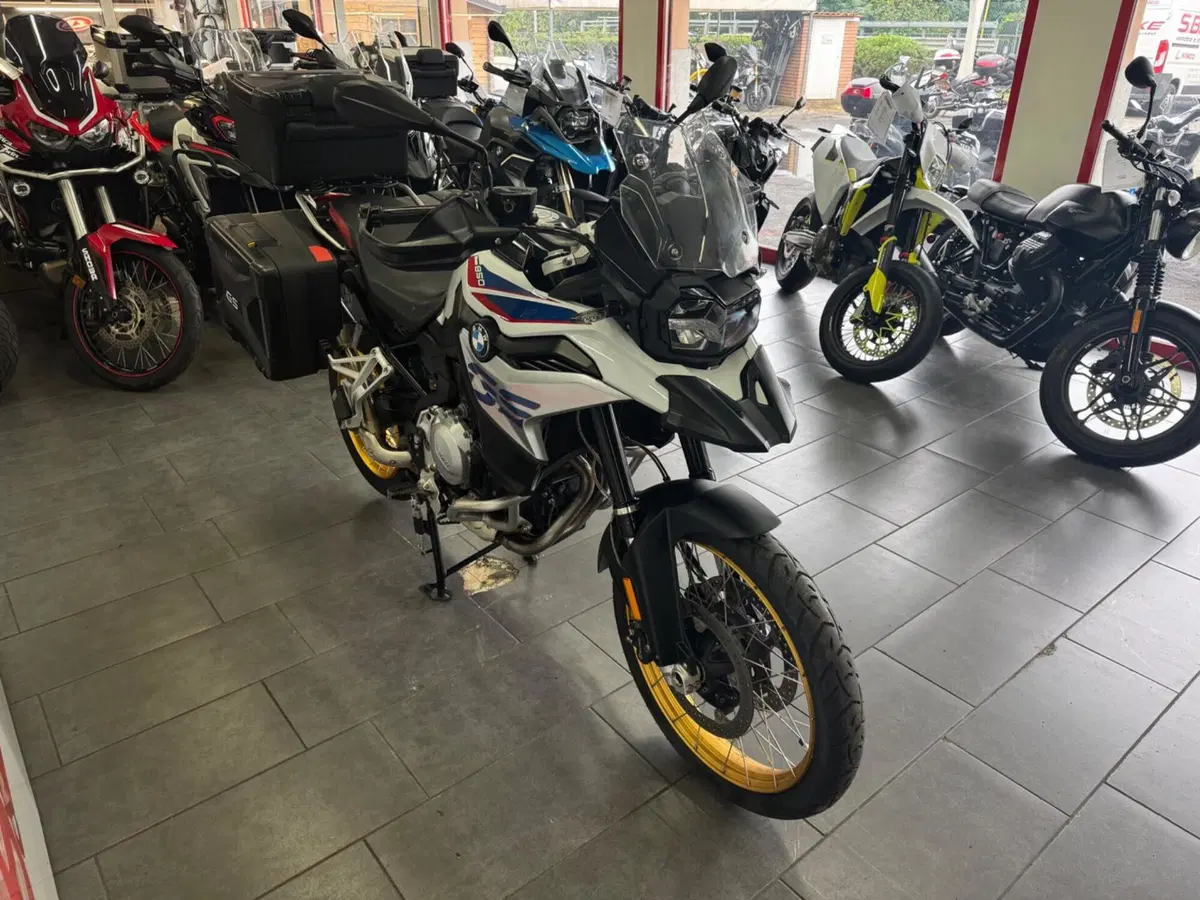 Bmw F 850 GS (2018 - 20) (6)