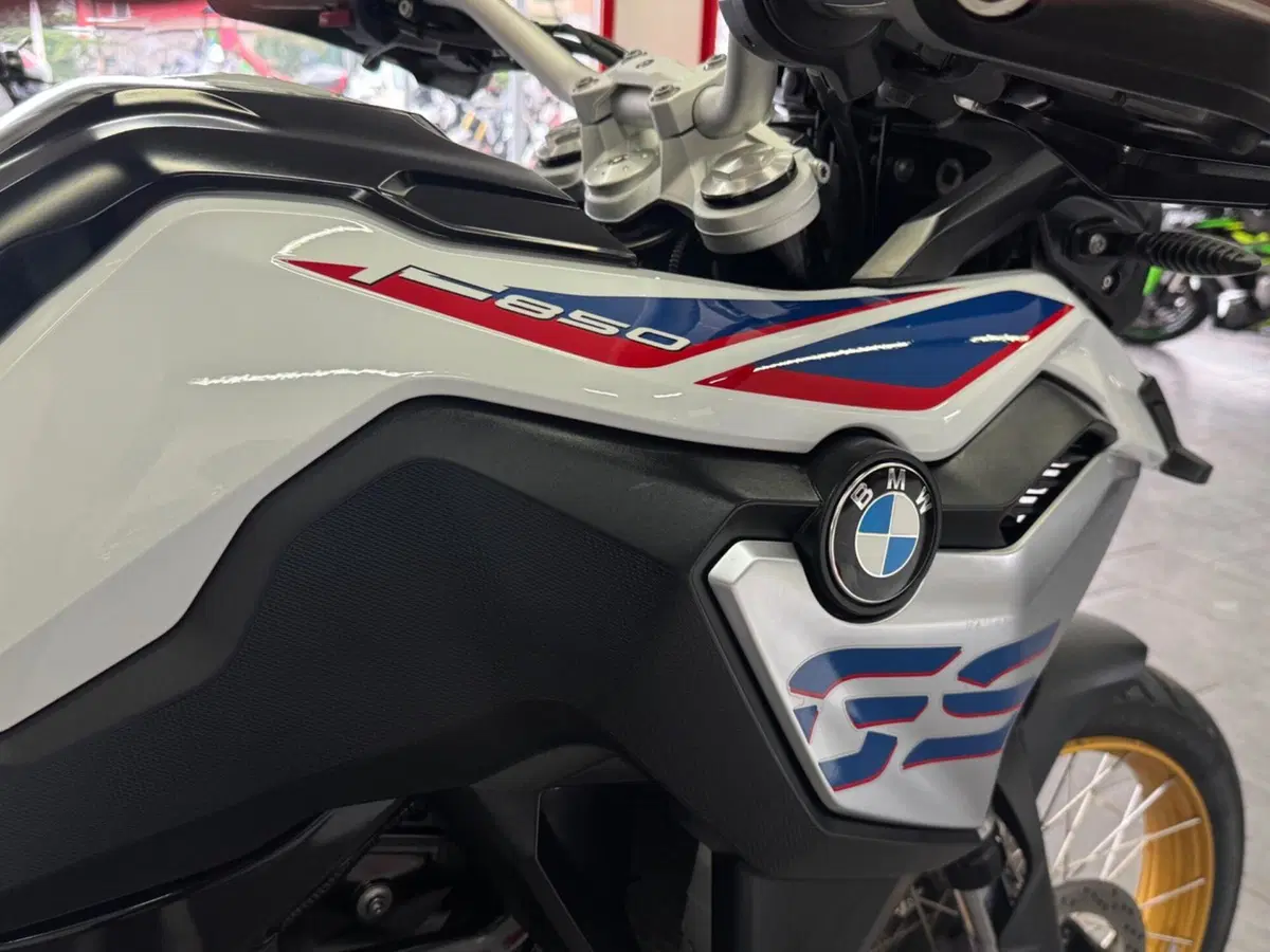 Bmw F 850 GS (2018 - 20) (8)