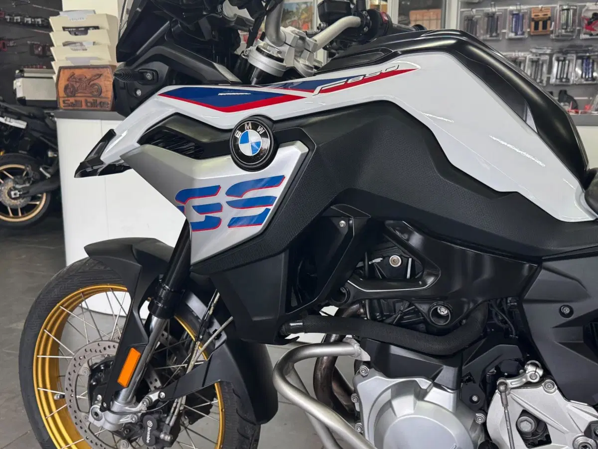 Bmw F 850 GS (2018 - 20) (10)