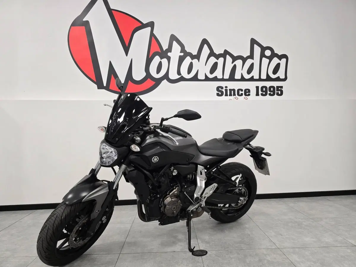 Yamaha MT-07 (2014 - 16) (2)