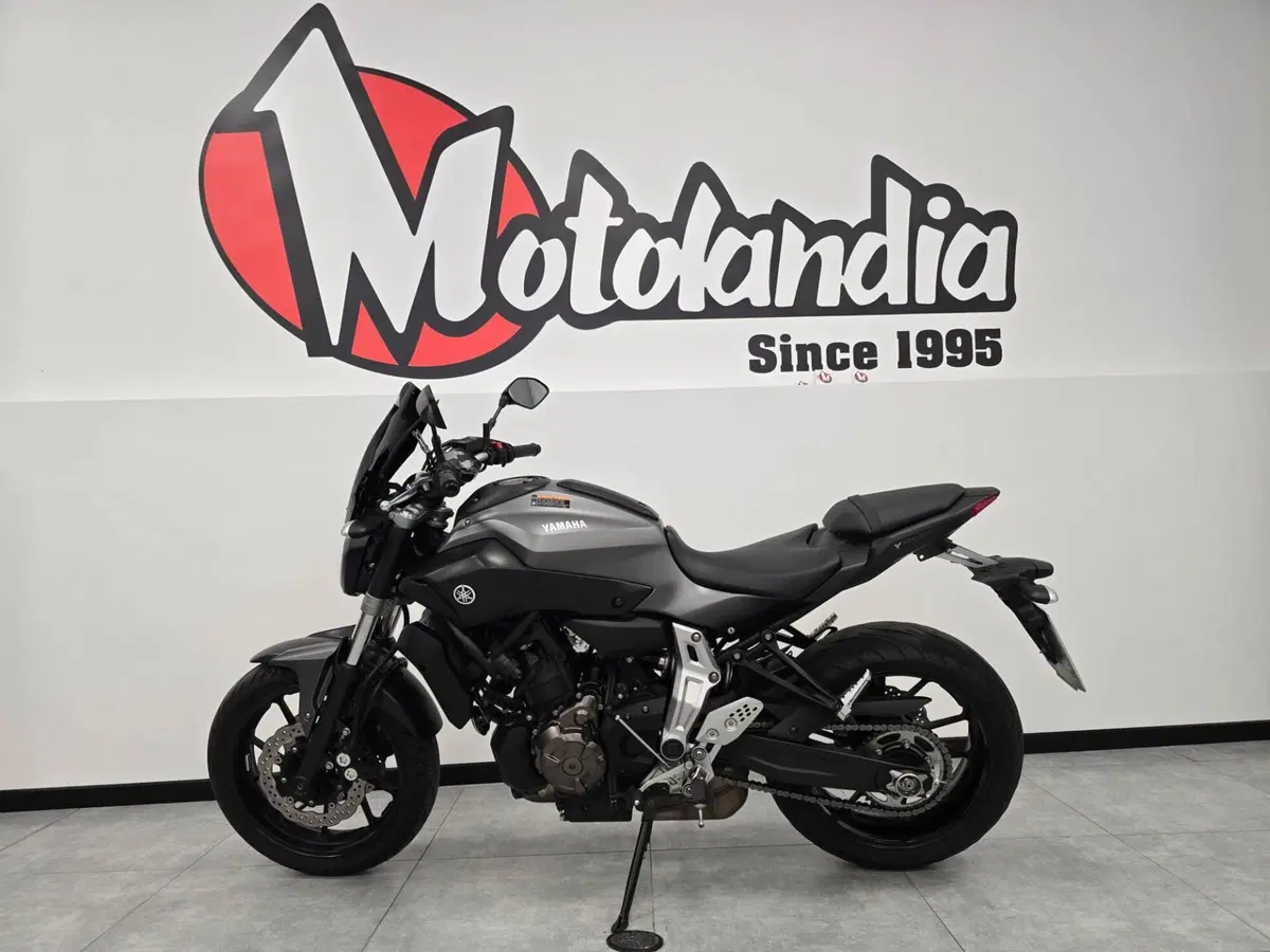 Yamaha MT-07 (2014 - 16) (3)