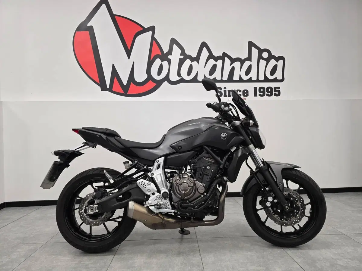 Yamaha MT-07 (2014 - 16) (4)