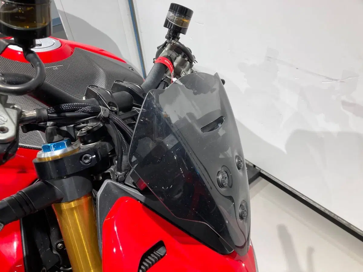 Ducati Streetfighter V4 1100 S (2021 - 22) (6)
