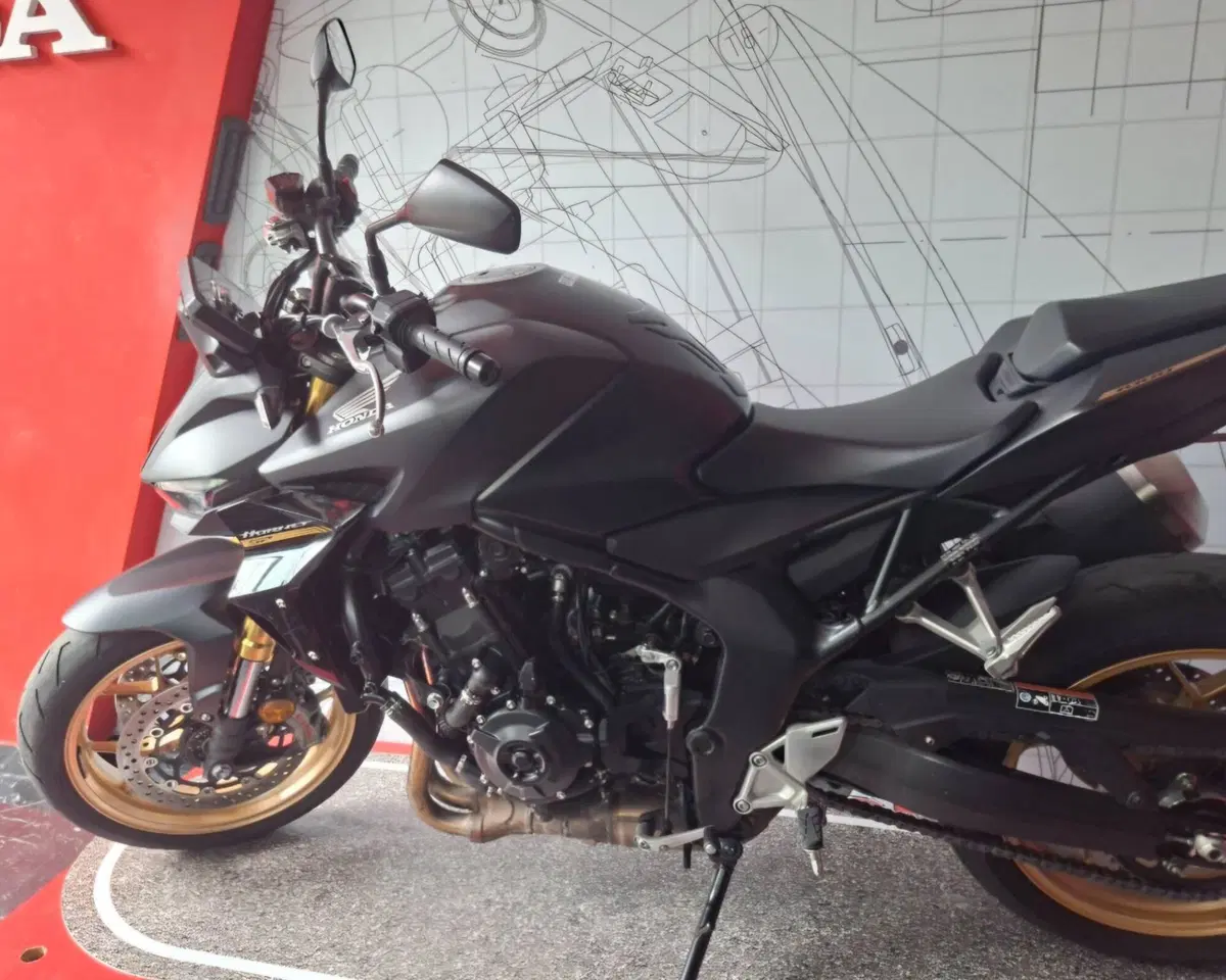 Honda CB 1000 Hornet SP (2025 - 26) (3)