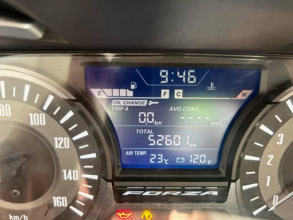 Honda Forza 300 (2019 - 20) (7)
