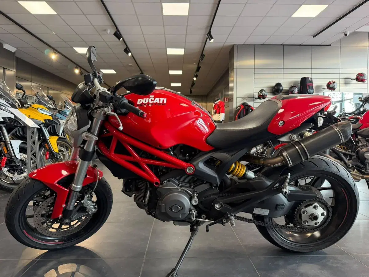 Ducati Monster 796 (2010 - 13) (9)