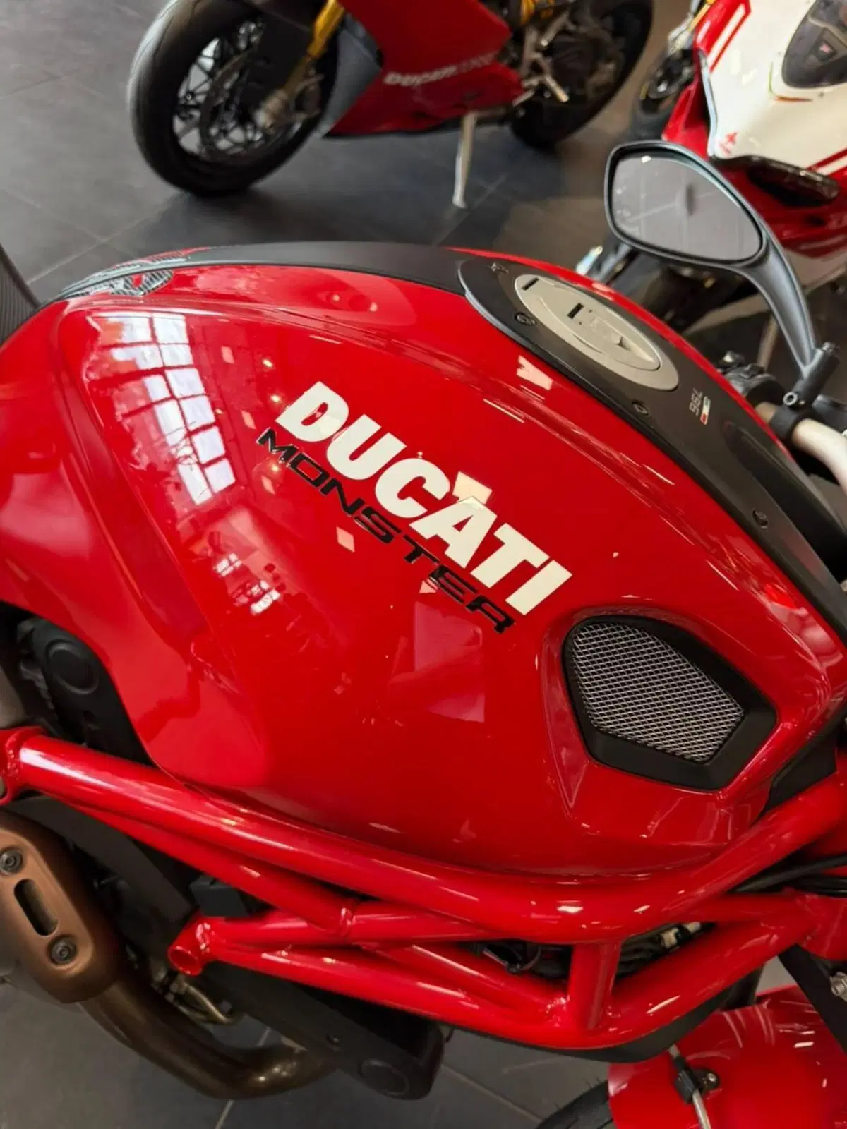 Ducati Monster 796 (2010 - 13) (13)