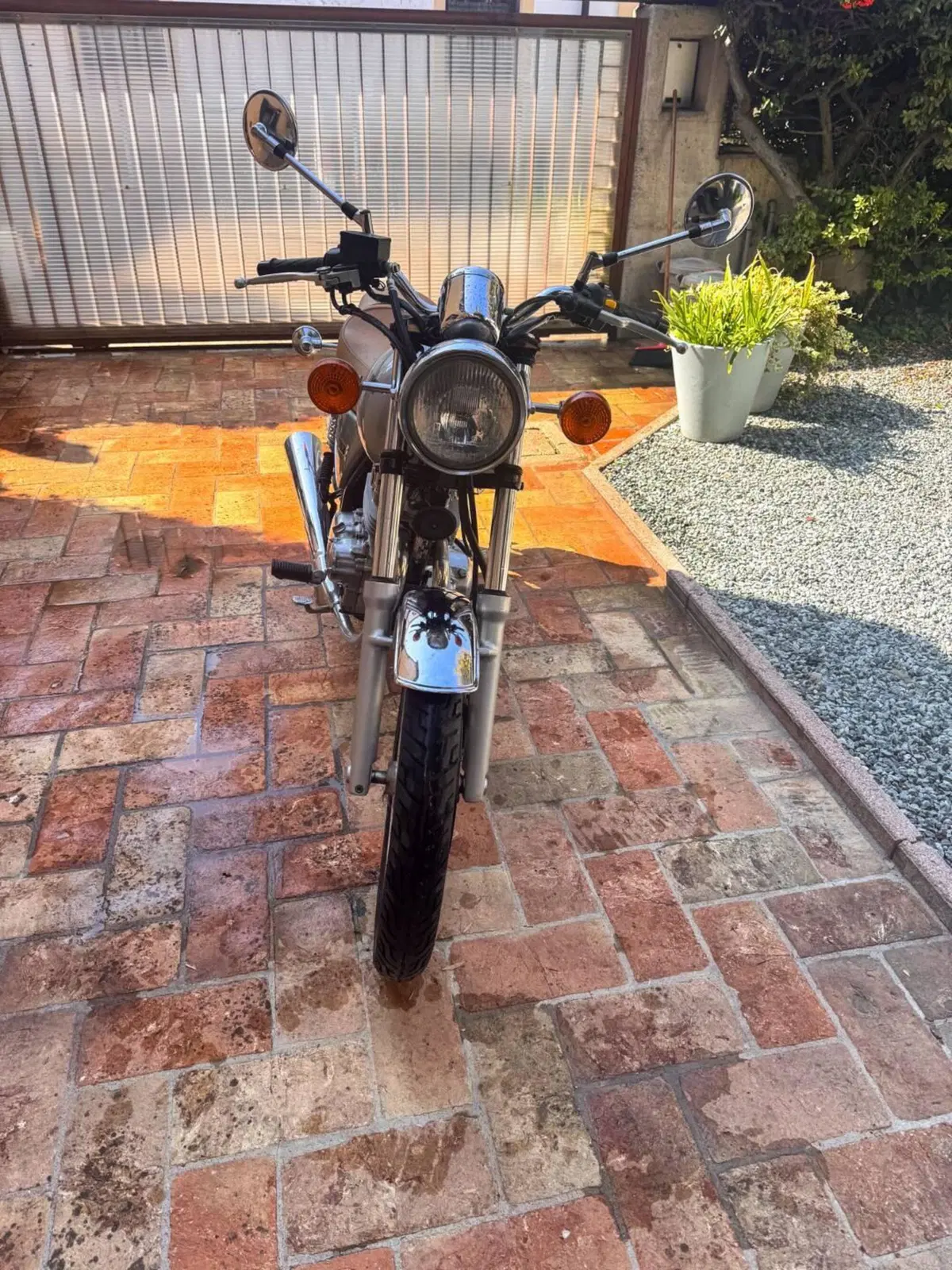 Suzuki TU 250 X (1997 - 03) (3)