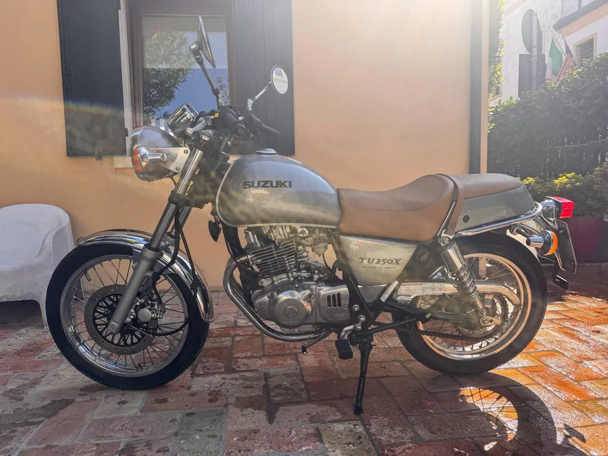 Suzuki TU 250 X (1997 - 03) (5)