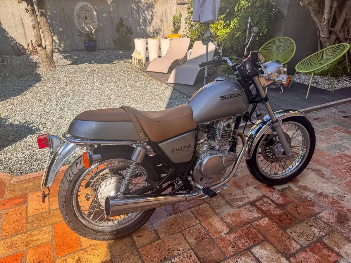 Suzuki TU 250 X (1997 - 03) (7)