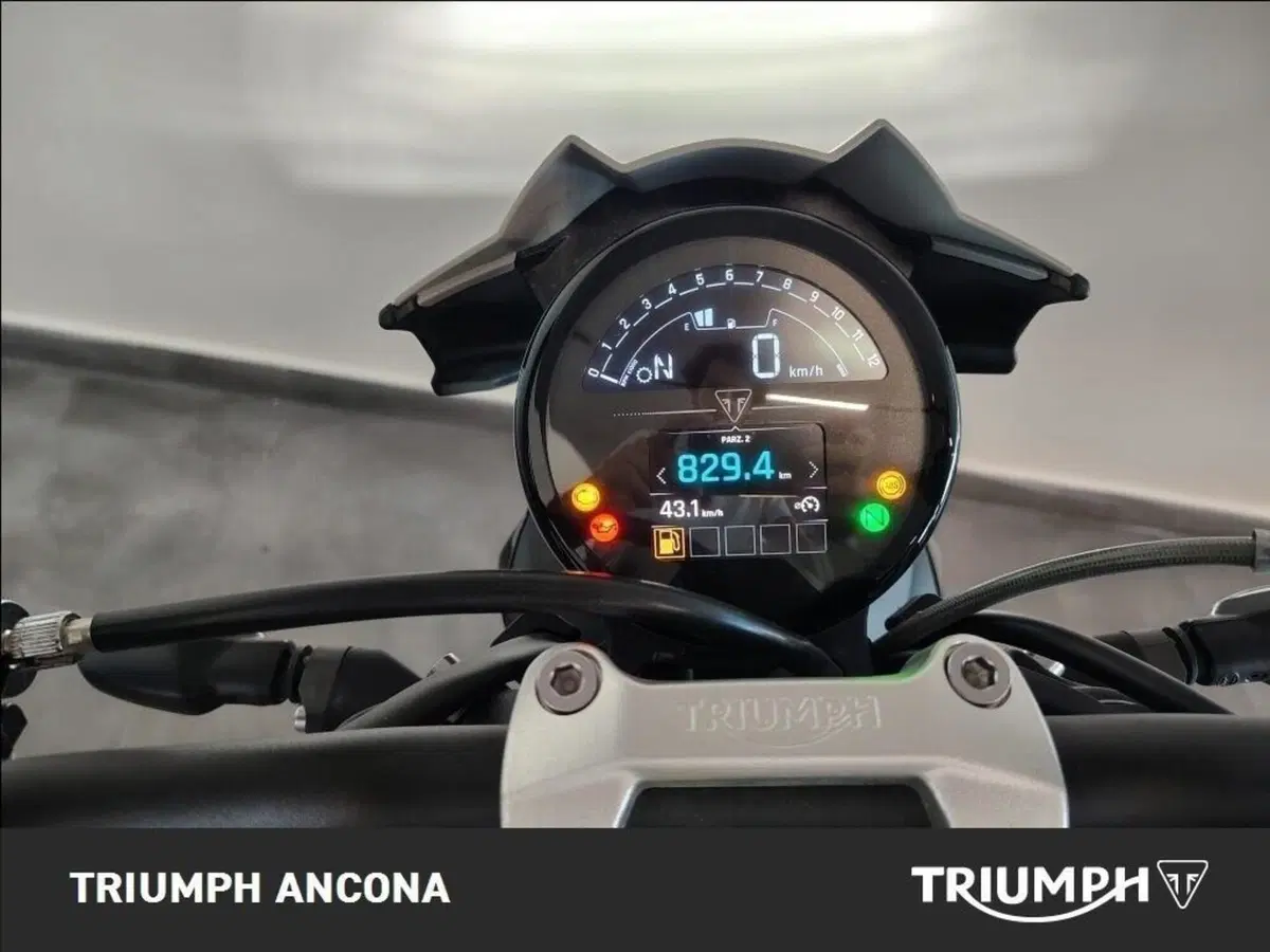 Triumph Trident 800 (2026) (5)