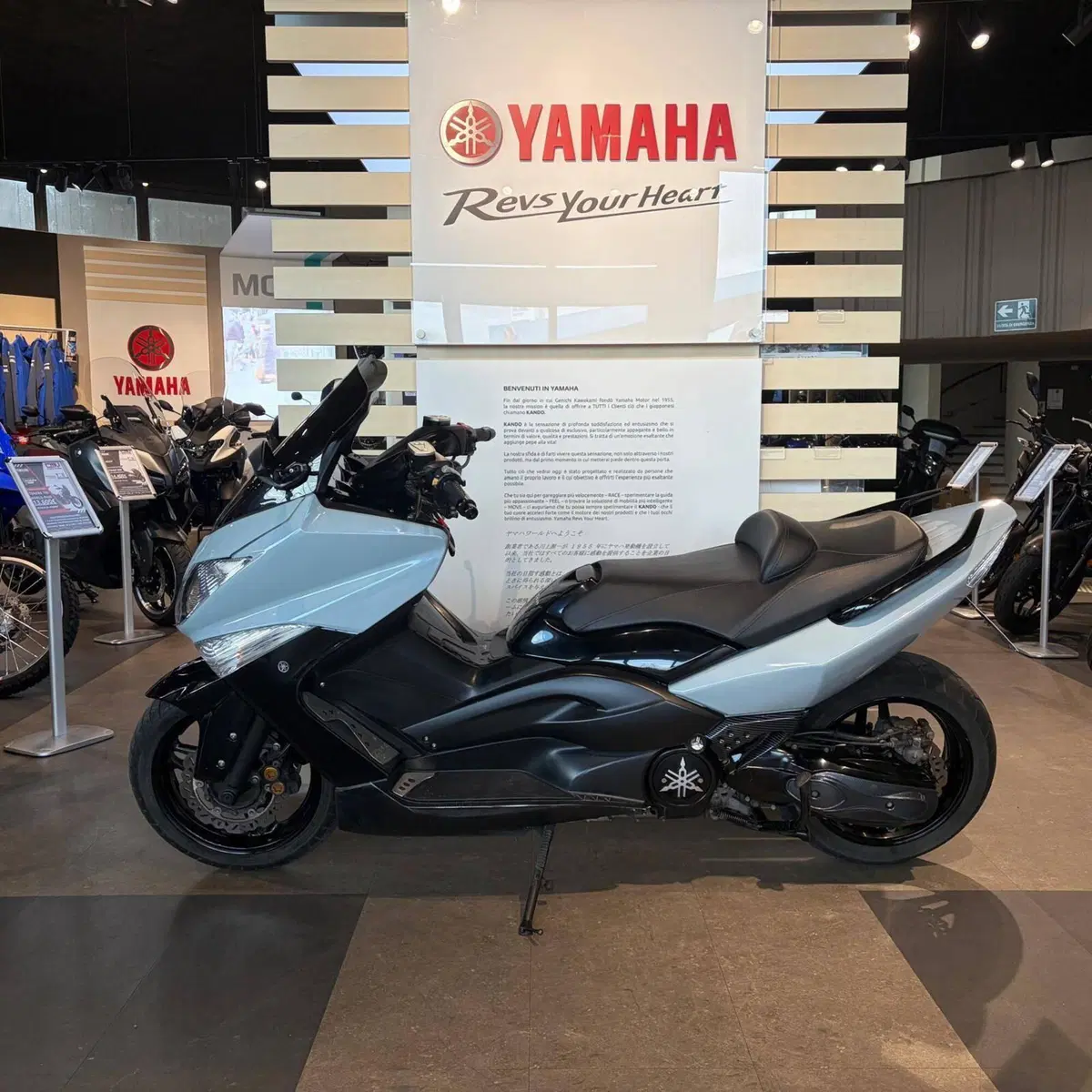 Yamaha T-Max 500 (2008 - 12) (8)
