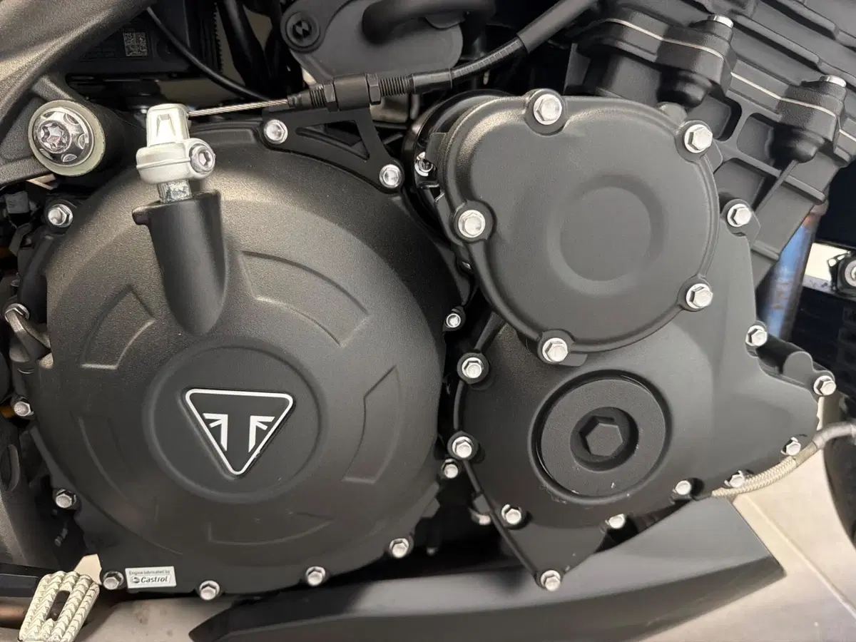 Triumph Speed Triple 1050 RS (2018 - 20) (8)