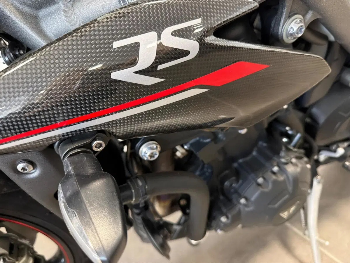 Triumph Speed Triple 1050 RS (2018 - 20) (11)