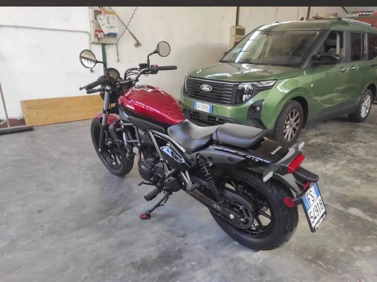 Kawasaki Eliminator 500 (2024 - 27) (4)