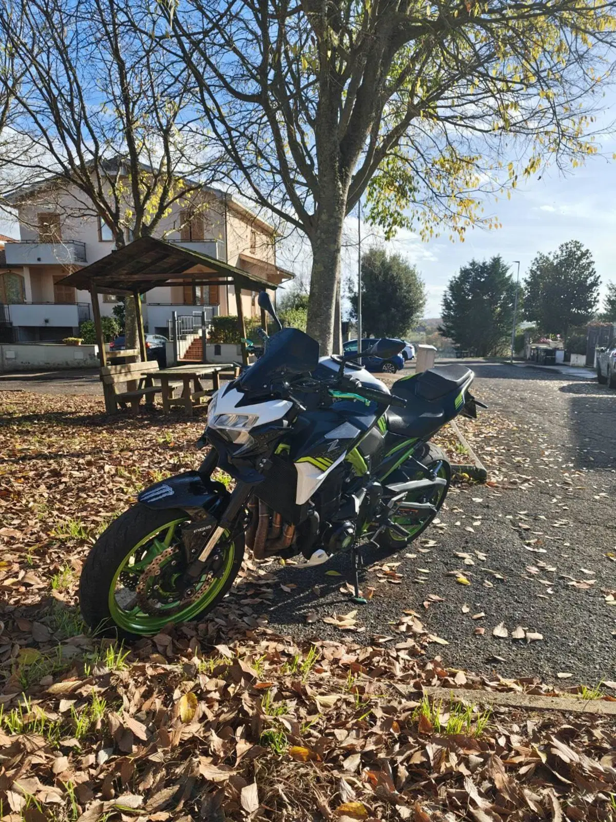 Kawasaki Z 900 (2021 - 24)