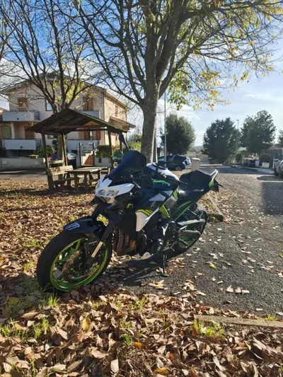 Kawasaki Z 900 (2021 - 24) usata