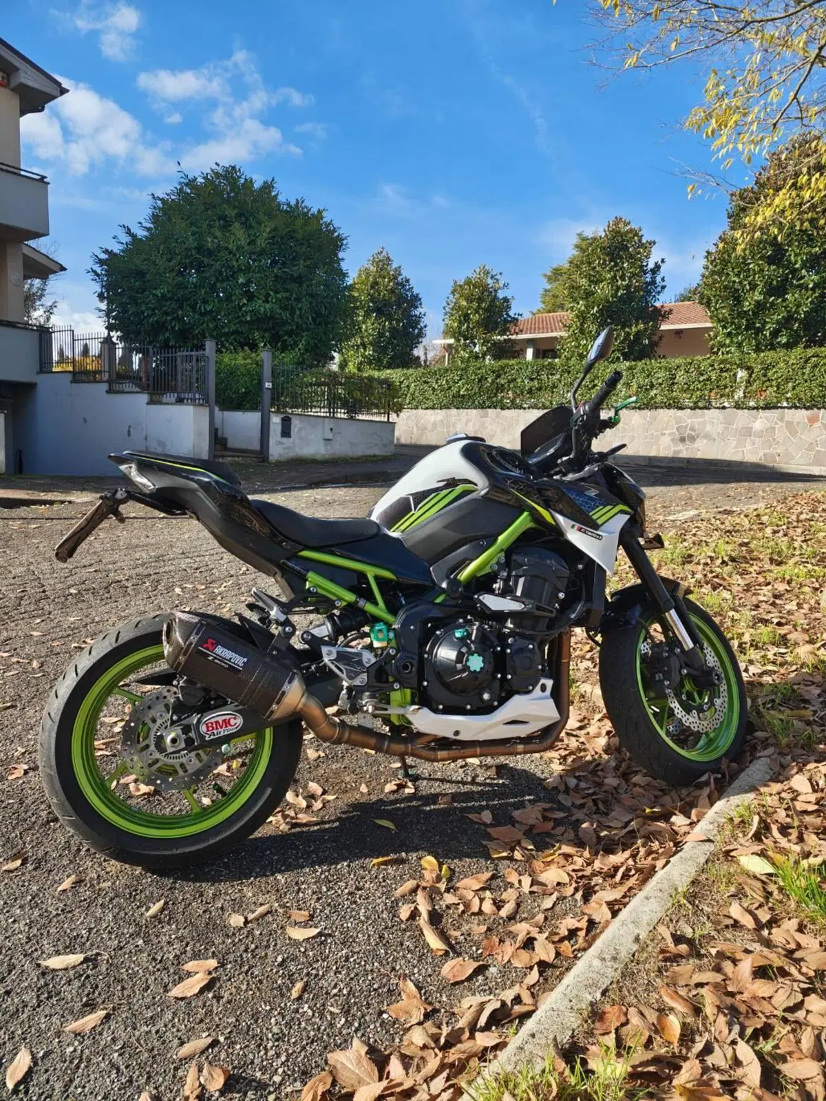 Kawasaki Z 900 (2021 - 24) (2)