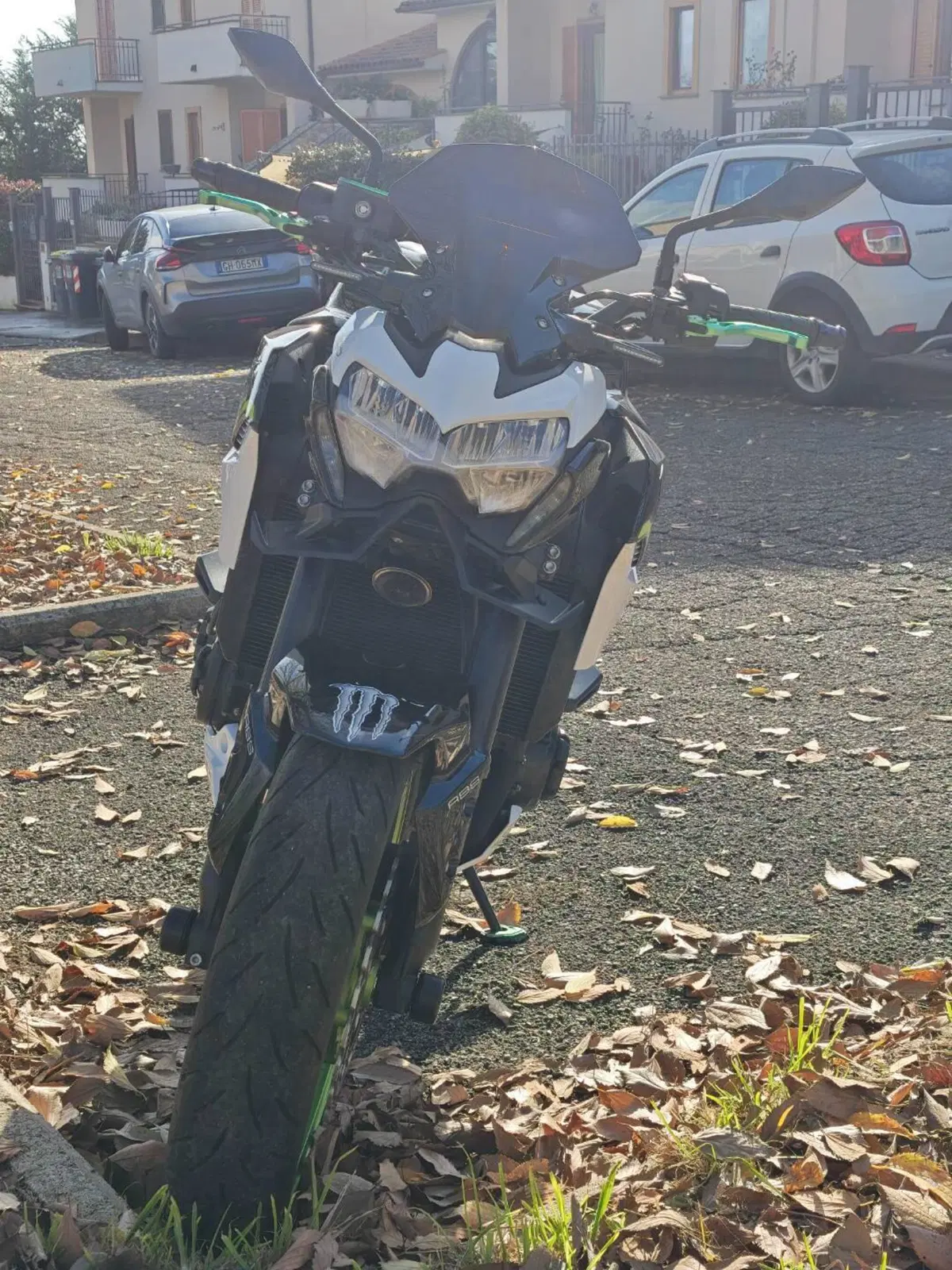 Kawasaki Z 900 (2021 - 24) (3)