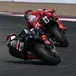 Marquez in scia a Martin: Potevo fare il suo tempo, poi nella Sprint la pressione sgonfia Jorge