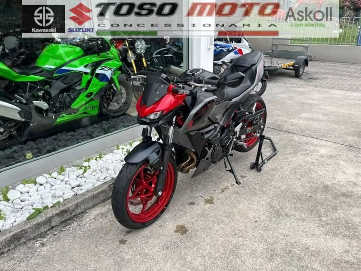 Kawasaki Z 500 SE (2024 - 27) (8)