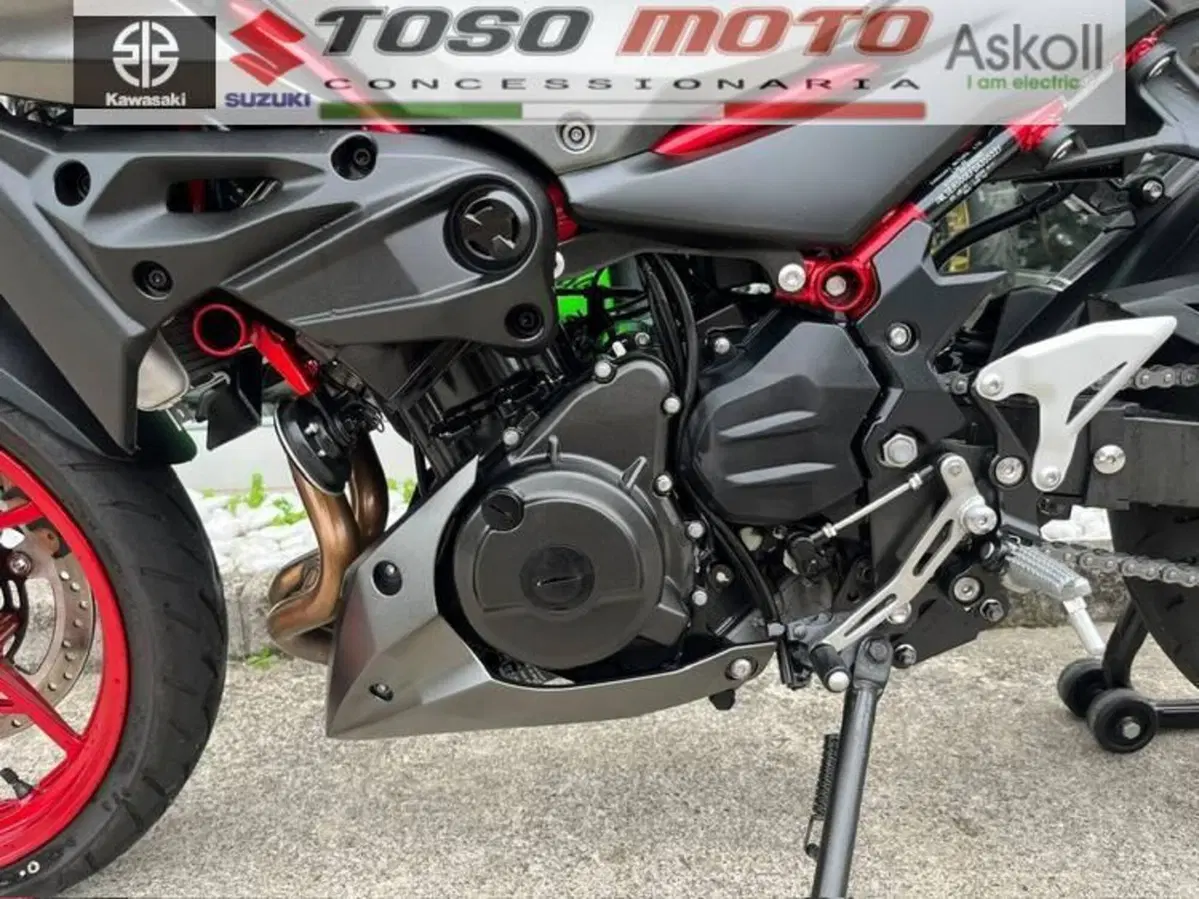 Kawasaki Z 500 SE (2024 - 27) (11)