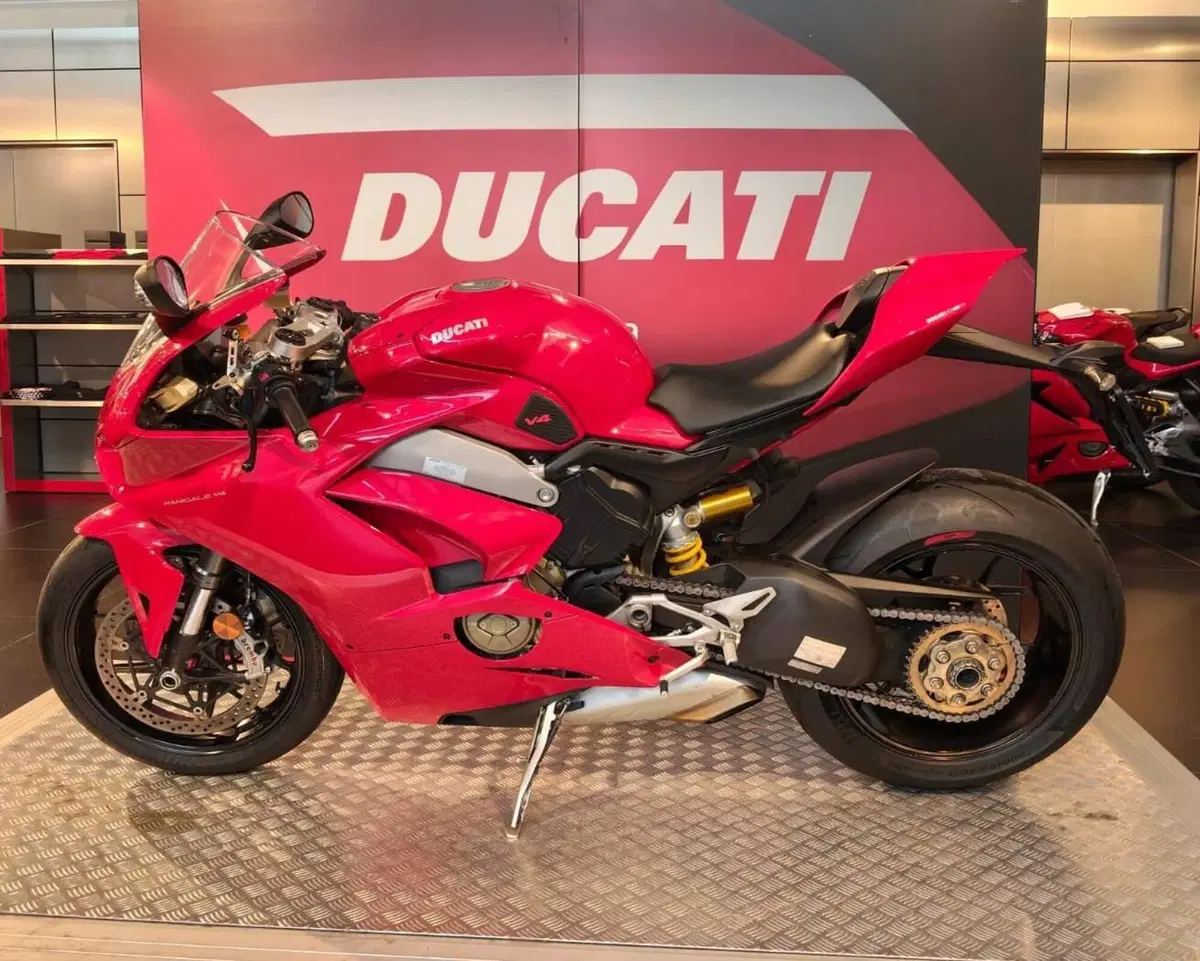 Ducati Panigale V4 1100 (2018 - 19) (4)