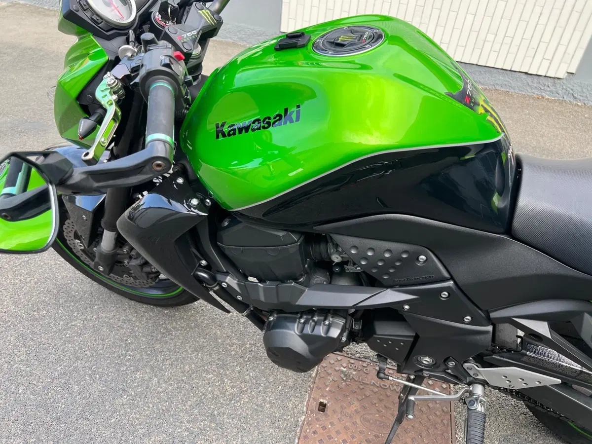 Kawasaki Z 750 (2007 - 14) (7)