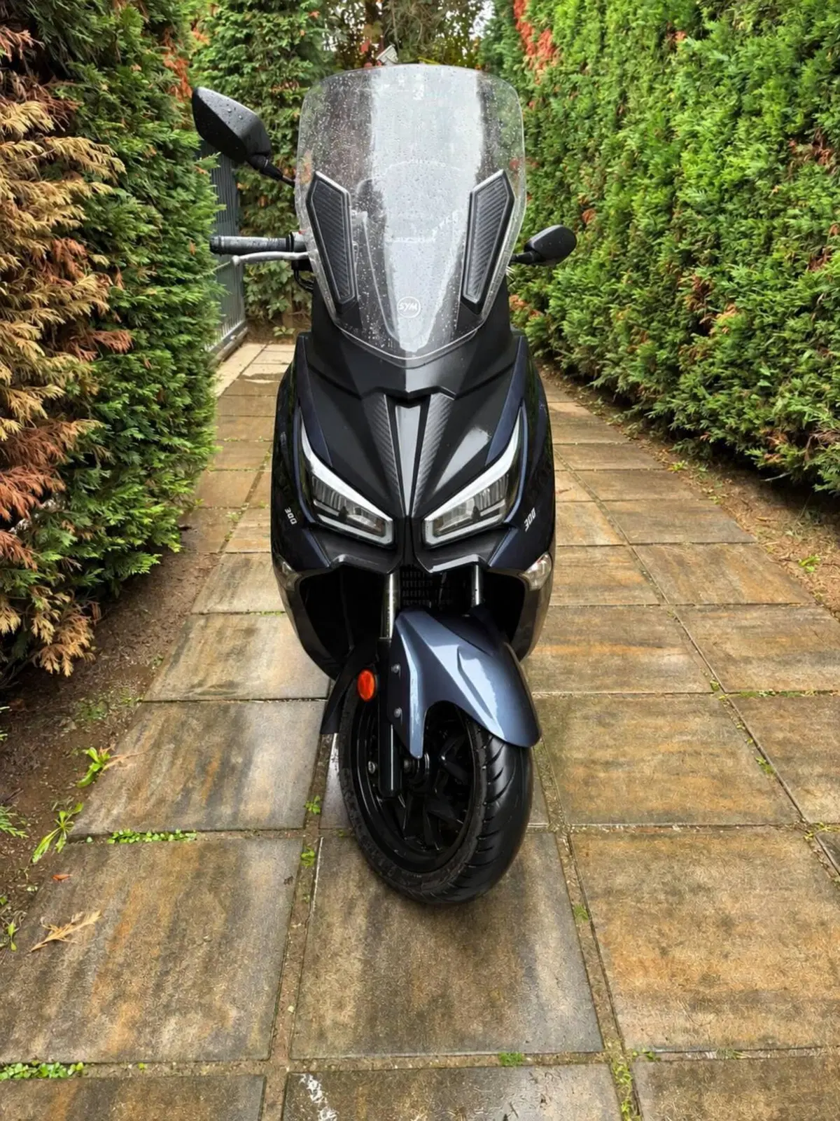 Sym Joymax 300 Z+ (2021 - 24) (2)